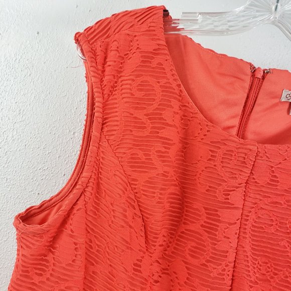 CB Women's Orange Lined Embroidered Fishnet Zip Back Sleeveless Dress - Picture 3 of 13